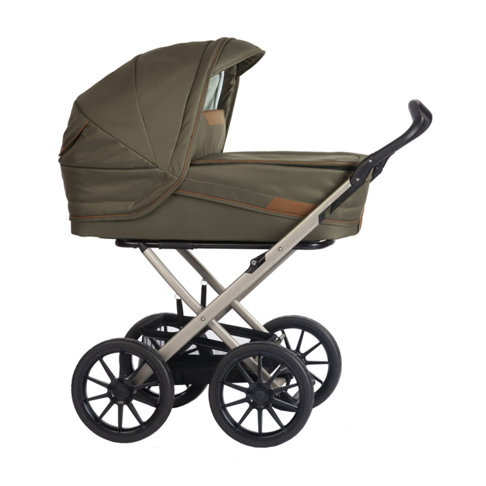 STORK Classic Oliven / Rav | Champagne Stel